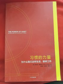 习惯的力量：为什么我们会这样生活，那样工作