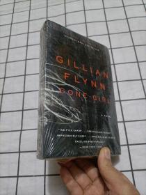 Gone Girl: A Novel消失的爱人 英文原版