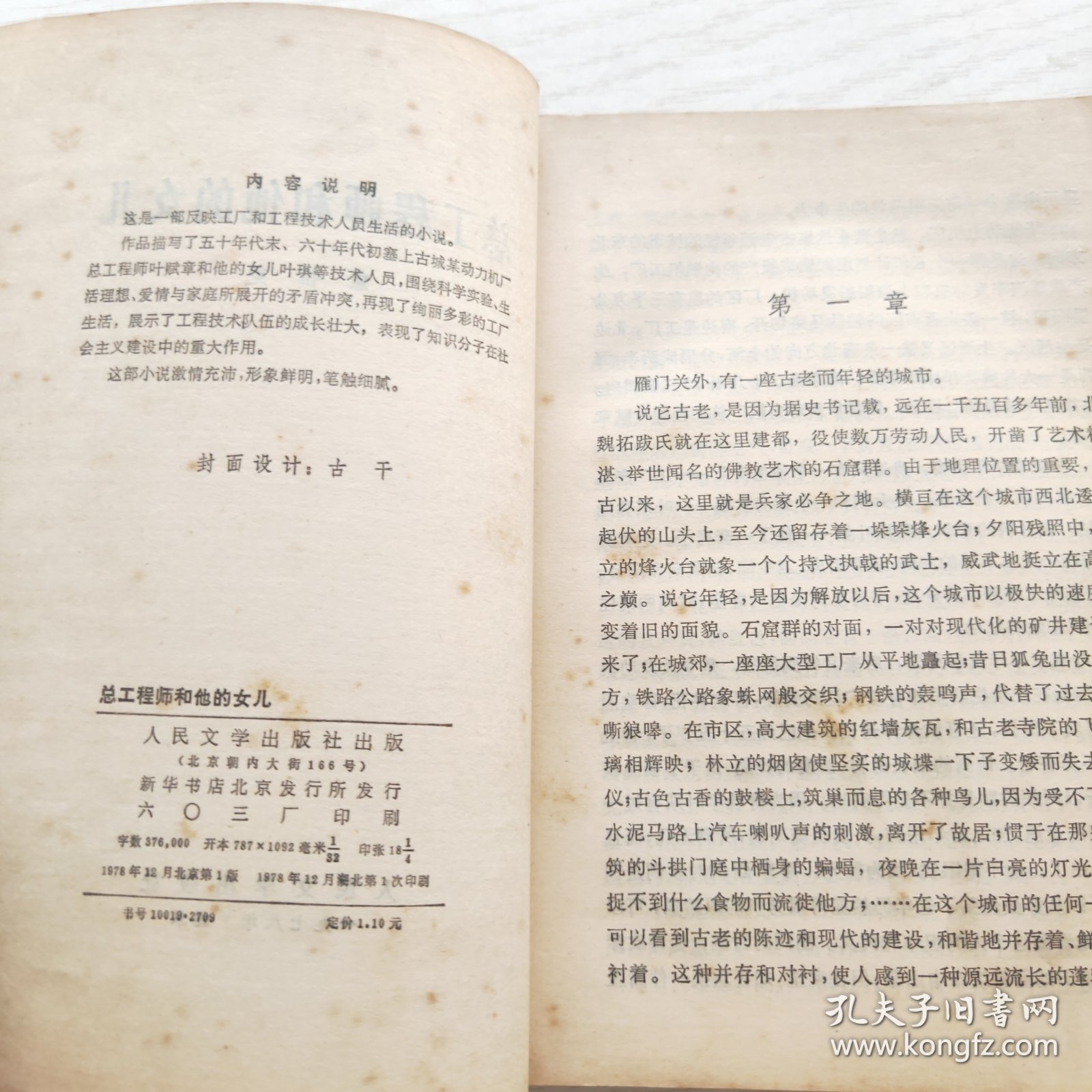 总工程师和他的女儿（一版一印）