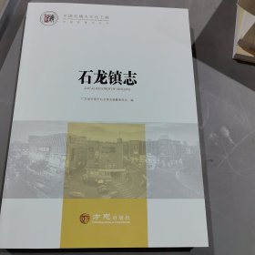石龙镇志
