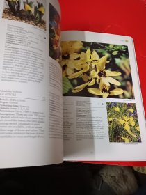 ENCYCLOPEDIA OF FLOWERS 植物百科鲜花，超过1000种