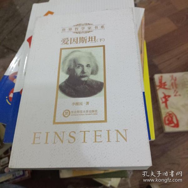爱因斯坦（全2册）