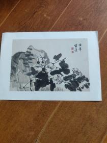 任伯年小品绘画(3幅)