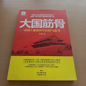 大国筋骨——中国工业化65年历程与思考