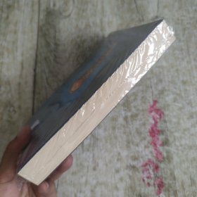 黑质三部曲·之三·琥珀望远镜