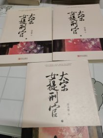 大宋女提刑官（上中下）