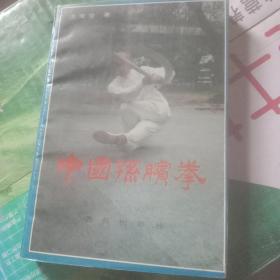 中国孙膑拳