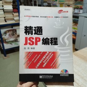 精通JSP编程（附光盘） 赵强 电子工业出版社（货号:D2）