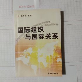 国际组织与国际关系