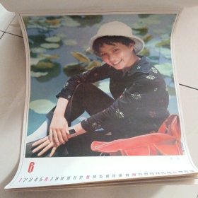 1982年明星挂历（13张全）
