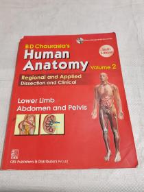 Human Anatomy  2