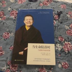 当生命陷落时：与逆境共处的智慧