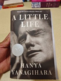 A Little Life