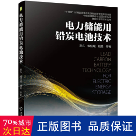 电力储能用铅炭电池技术 电子、电工 惠东 相佳媛 胡晨    等