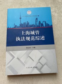 上海城管执法规范综述