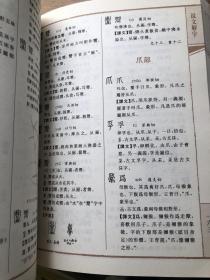 说文解字两厚册 带插图版本 上下两册合售不拆卖