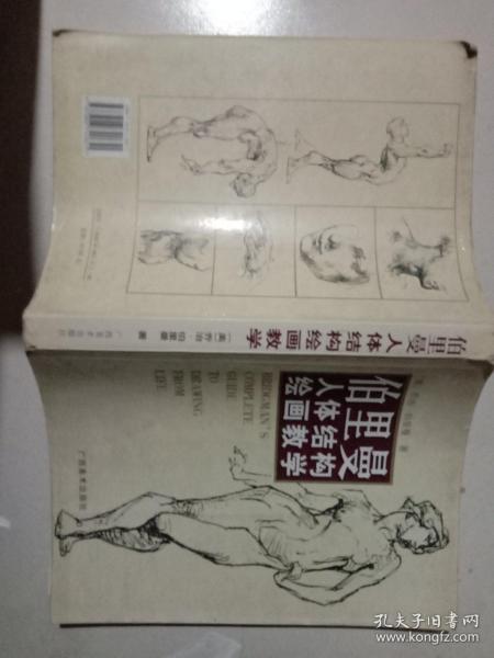 伯里曼人体结构绘画教学