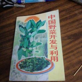 中国野菜开发与利用