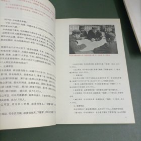 东北虎：四野东北战事全纪录