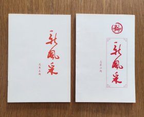 新风采（总第五期、总第六期）共二期/册合售