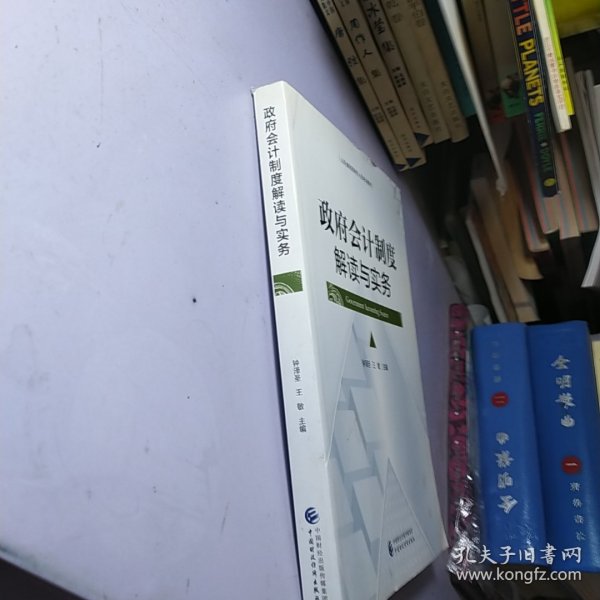 政府会计制度解读与实务