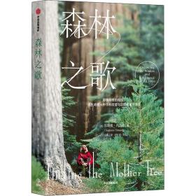 森林之歌