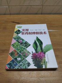 实用壮药材种植技术/中国-东盟传统医药文库