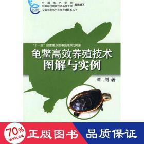 龟鳖高效养殖技术图解与实例