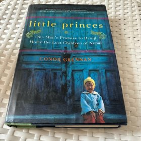 Little Princes：One Man’s Promise to Bring Home the Lost Children of Nepal 小王子们 ：一个男人关于接尼泊尔走失儿童回家的承诺 毛边本