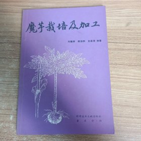 魔芋栽培及加工