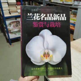 兰花名品新品鉴赏与栽培 王意成 著 江苏科学技术出版社