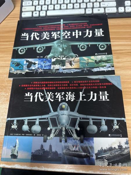 当代美军空中力量