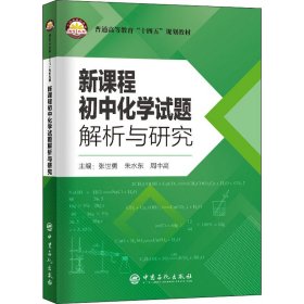 【正版书籍】新课程初中化学试题解析与研究