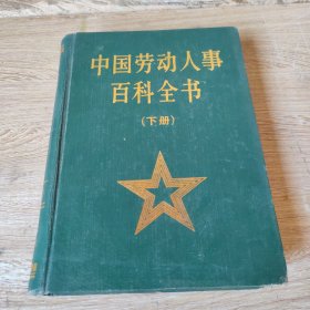 中国劳动人事百科全书（下册）