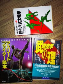 正版旧书 格斗核心训练 +武道空手道理 附送四十八式太极拳 3书 日文版 综合格斗技 日本空手道 柔术 古流武术实战 极真空手道