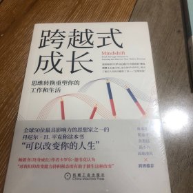 跨越式成长：思维转换重塑你的工作和生活