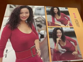 杨玉梅 庾澄庆 袁咏仪 刘德华 32开6面