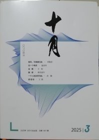 《十月》2025年第3期（温亚军中篇《另一个母亲》王松中篇《金蟾》肖勤短篇《一个人的兵荒马乱》等）