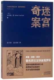 迷宫奇案/大唐狄公探案全译高罗佩绣像本