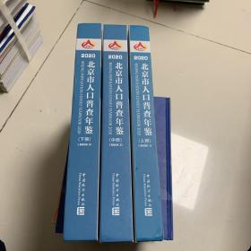 2020北京市人口普查年鉴  全三册