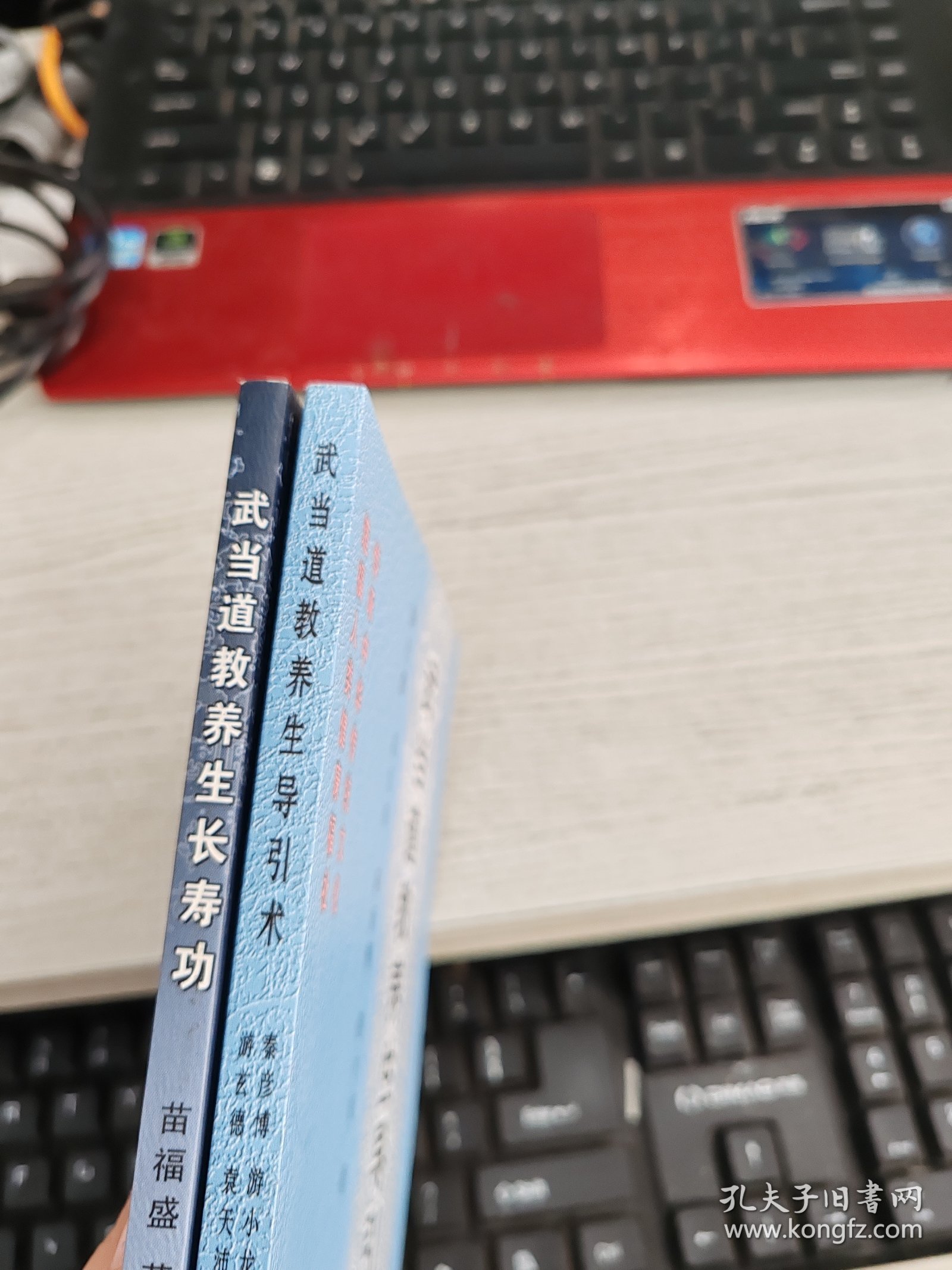 武当道教养生长寿功 武当道教养生导引术 2本合售
