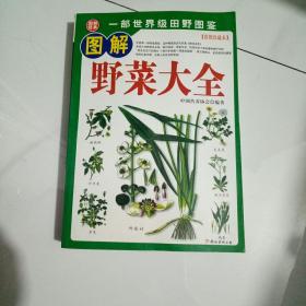 图解野菜大全【包邮】