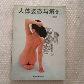 人体姿态与解剖