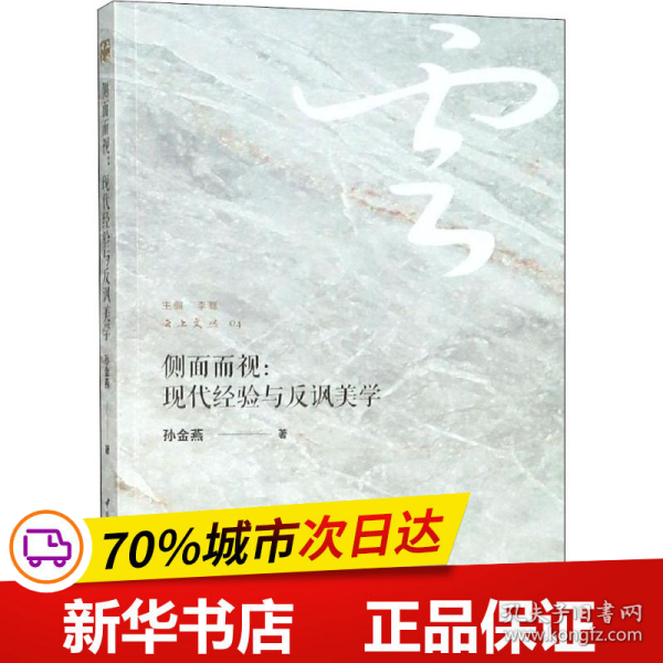 侧面而视：现代经验与反讽美学