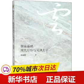 侧面而视：现代经验与反讽美学