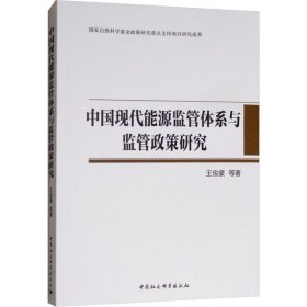 中国现代能源监管体系与监管政策研究