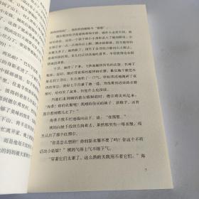 海蒂:作家出版社全新出版 真善美的化身 献给孩子，以及那些热爱孩子的人们的故事