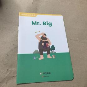 斑马AI课 mr big