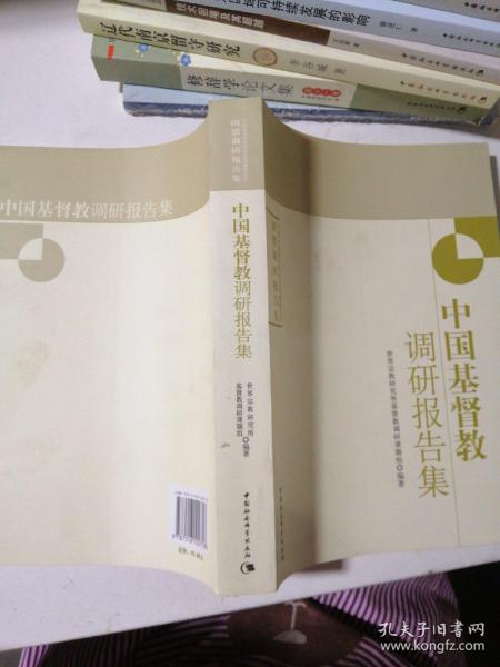 中国社会科学院世界宗教研究所国情调研报告集：中国基督教调研报告集