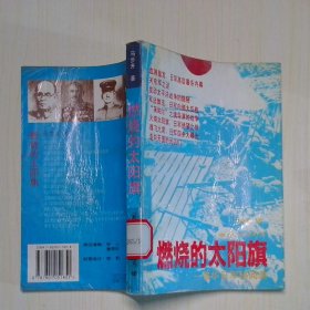燃燒的太陽旗侵華日軍秘聞錄